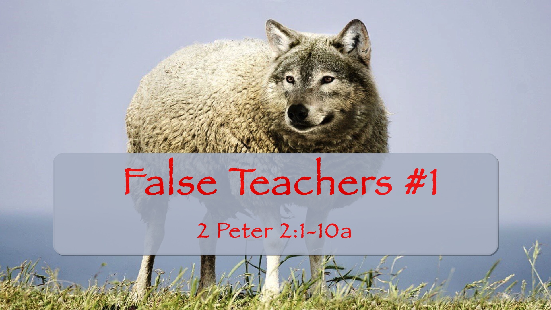 “False Teachers #1”