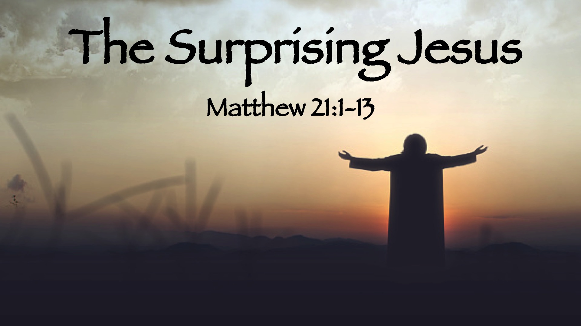 “The Surprising Jesus”