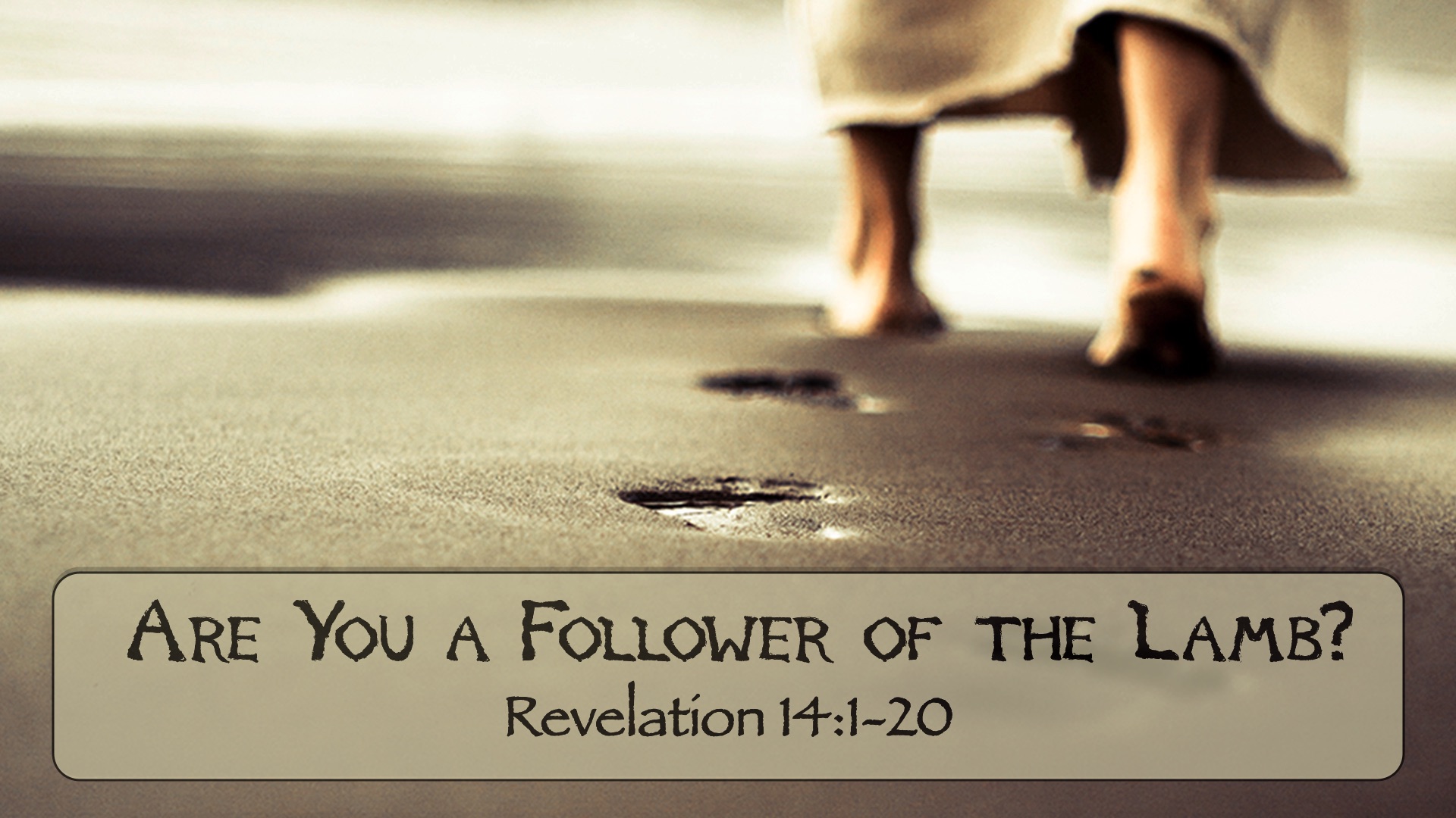 “The Book of Revelation: Are You a Follower of the Lamb?”